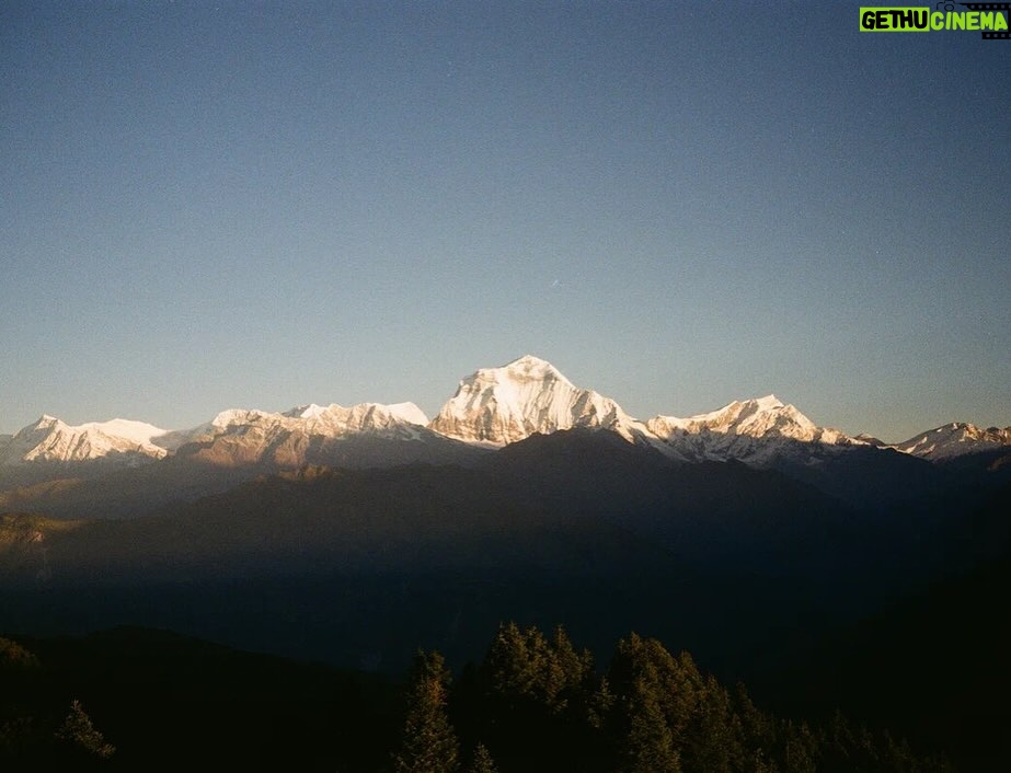 Paulina Andreeva - 8.4K Likes - Remembering 🇳🇵 Nepal 

#плёнка