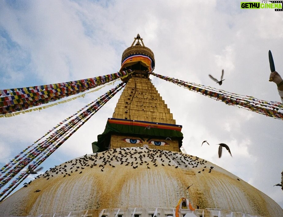 Paulina Andreeva - 8.4K Likes - Remembering 🇳🇵 Nepal 

#плёнка