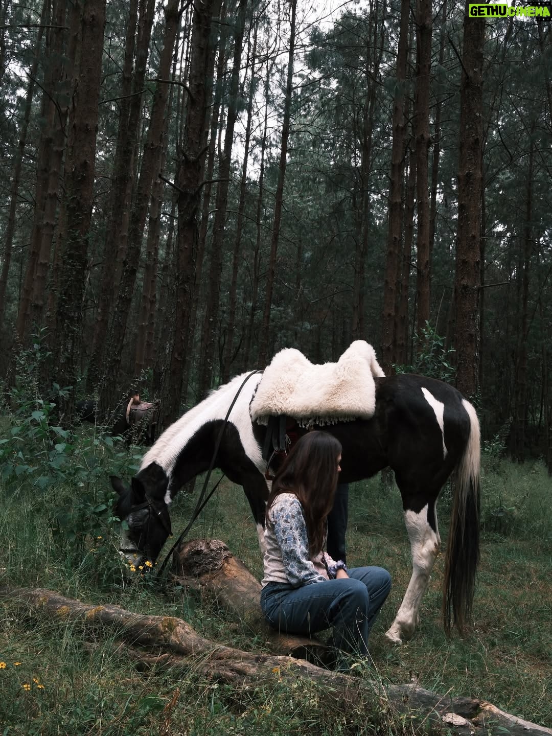 Paulina Dávila - 2.8K Likes - Diciembre ha sido muy muy bonito 🔥