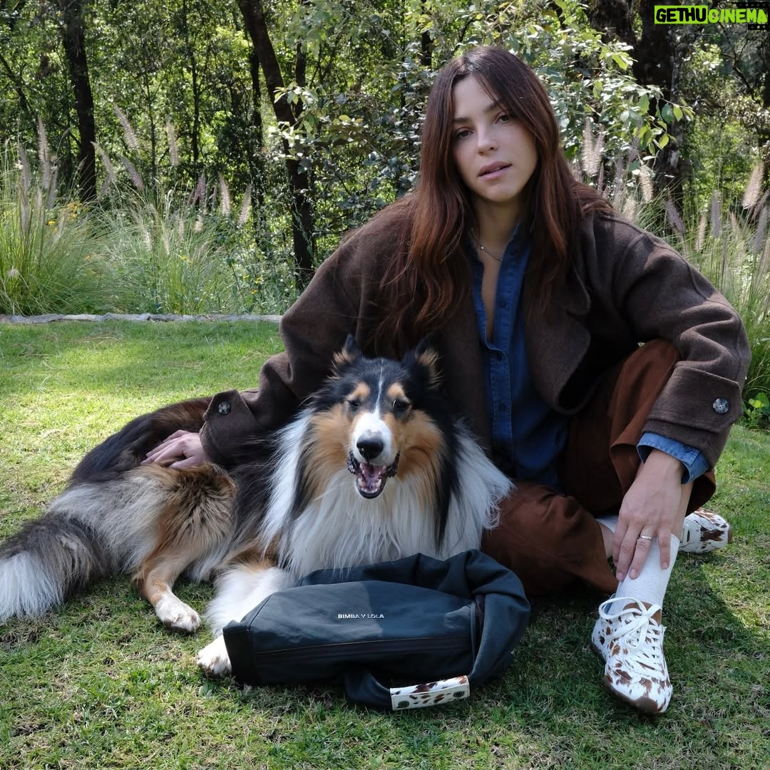 Paulina Dávila - 4.4K Likes - Día de campo, juego y sesión de fotos con mi amigo Kambo ( peyito top model) y @bimbaylola siempre on point para toda ocasión !