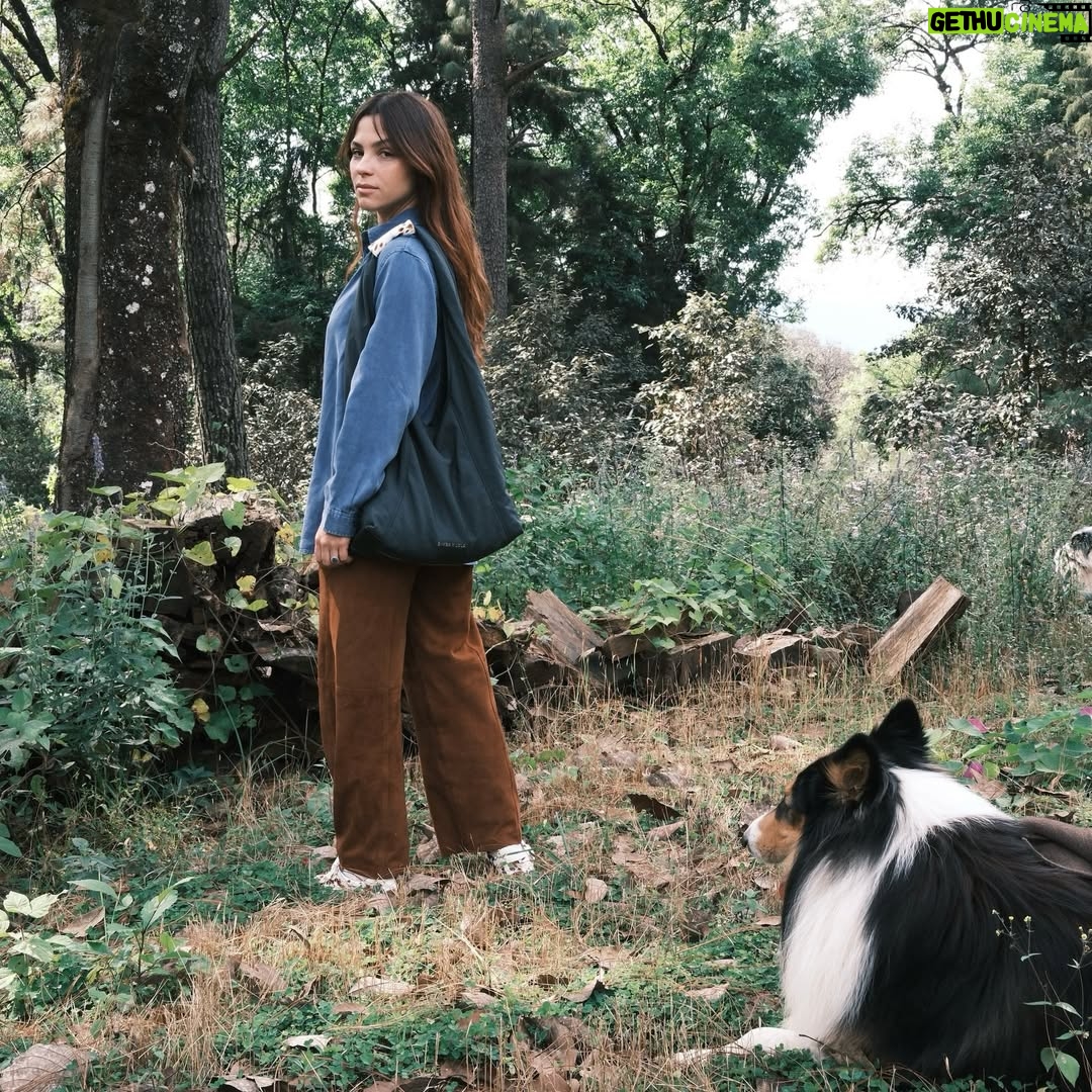 Paulina Dávila - 4.4K Likes - Día de campo, juego y sesión de fotos con mi amigo Kambo ( peyito top model) y @bimbaylola siempre on point para toda ocasión !