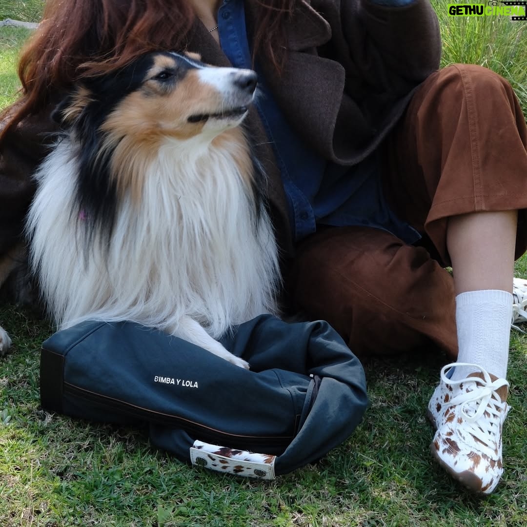 Paulina Dávila - 4.4K Likes - Día de campo, juego y sesión de fotos con mi amigo Kambo ( peyito top model) y @bimbaylola siempre on point para toda ocasión !
