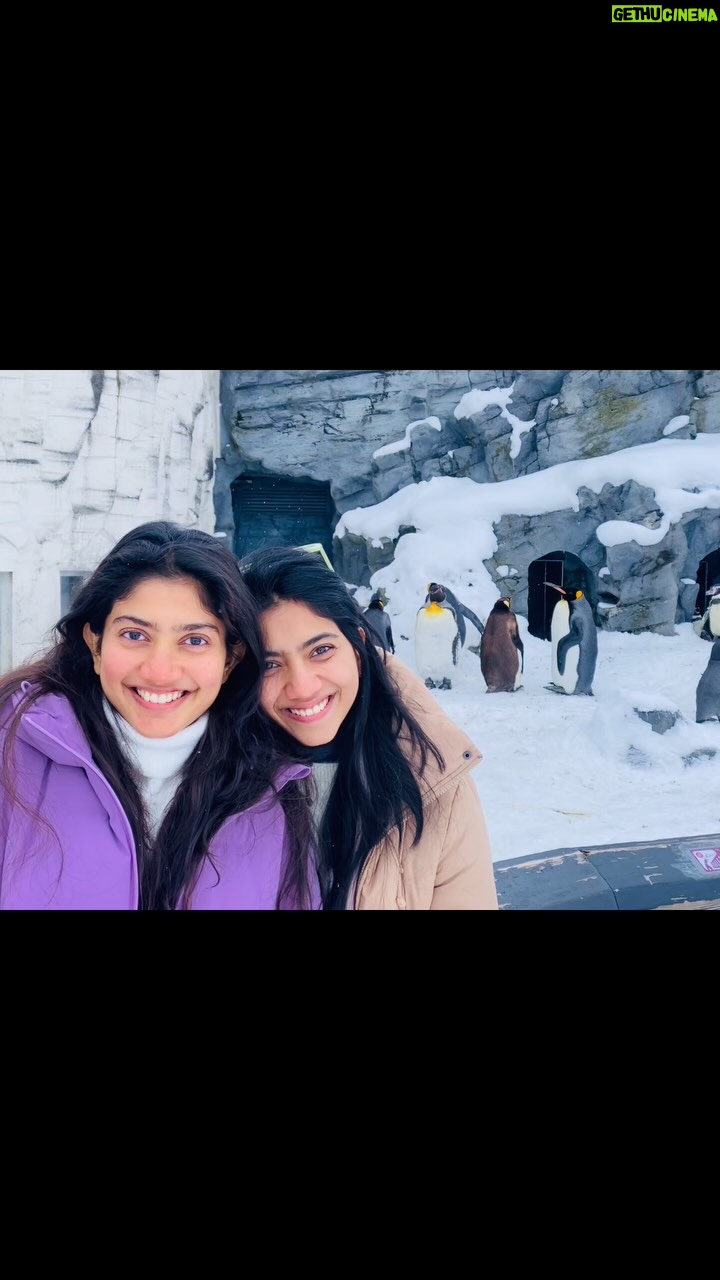 Pooja Kannan - 1.1 Million Likes - Happy Birthday, Best Friend!
One of the best decisions Mom and Dad ever made was to have you first and me second. I honestly wouldn’t have survived without you doing all the trial runs ahead of me!
Pallavi, I can’t imagine a single day in this life without you. Without you, my world would have no meaning, no purpose, and no joy. In such an uncertain world, you are my certainty.
You are the definition of selfless, pure, and unconditional love. It amazes me how much love you carry in your heart—enough to care so deeply for every single person around you. I’ll admit, sometimes I feel a little jealous and possessive of how much love you give away—but then I remember how lucky and proud I am to be loved by you, and to call you my sister.
This birthday, I wish you receive all the love and happiness you’re constantly pouring into the world.
I love you, Pallavi ❤️