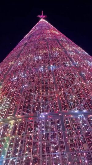 Raquel Garza Instagram - #Bilbao …..

#christmas #xmas #navidad
#luces #arboldenavidad #joy #gracias 
by @reginapavon