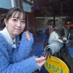Rika Adachi