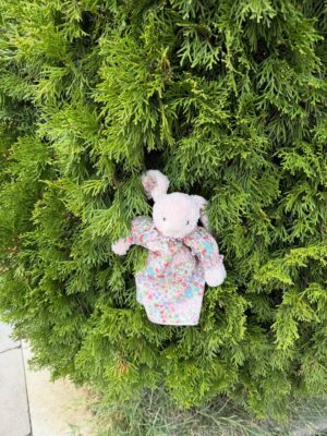 Saadet Işıl Aksoy Instagram - Eylül de bittiğine göre dağılabiliriz.. Son fotodaki gibi baktım yazın son anları da ellerimden kayıp giderken.. 🐶
