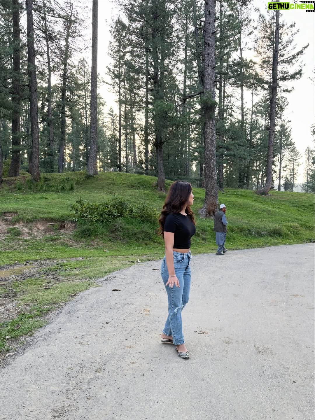 Saloni Sandhu - 52.3K Likes - Just me, Kashmir, and endless views 🫶