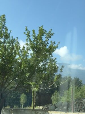 Saloni Sandhu Instagram - Just me, Kashmir, and endless views 🫶