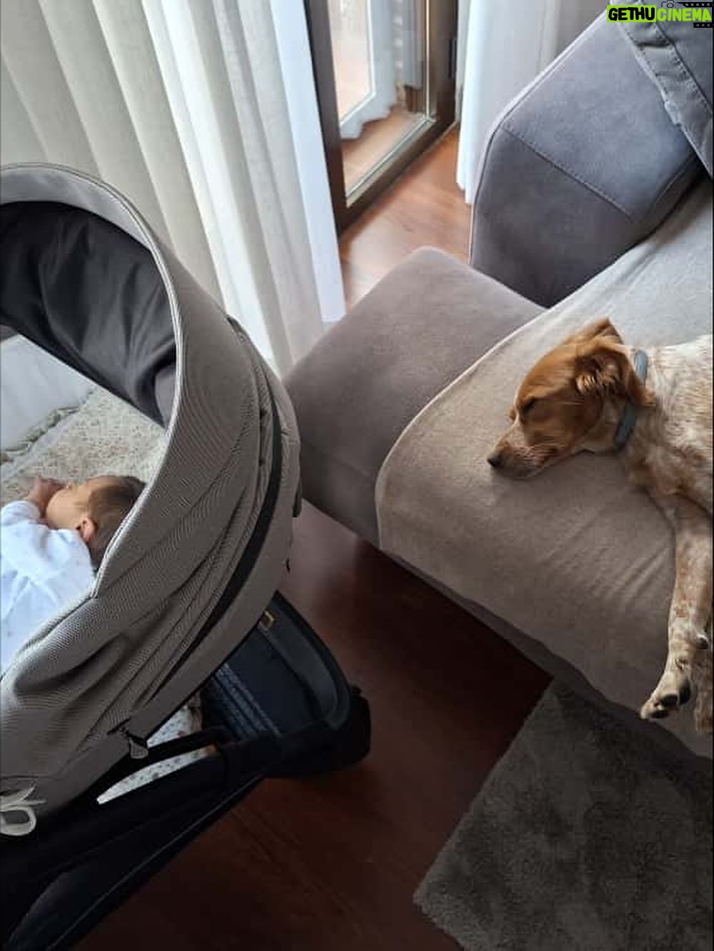 Sandra Díaz Arcas - 4.2K Likes - La semana más especial de mi vida 💕🐣🐶

(La última foto 🥹)