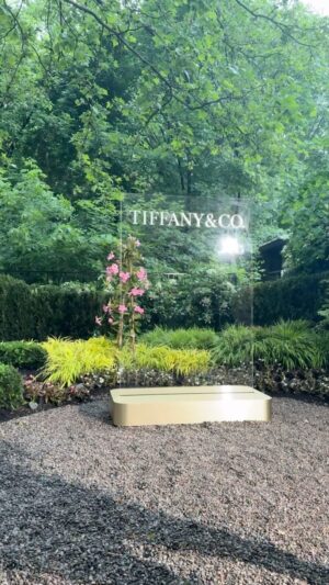 Sarah Gadon Instagram - A summer kickoff with @tiffanyandco