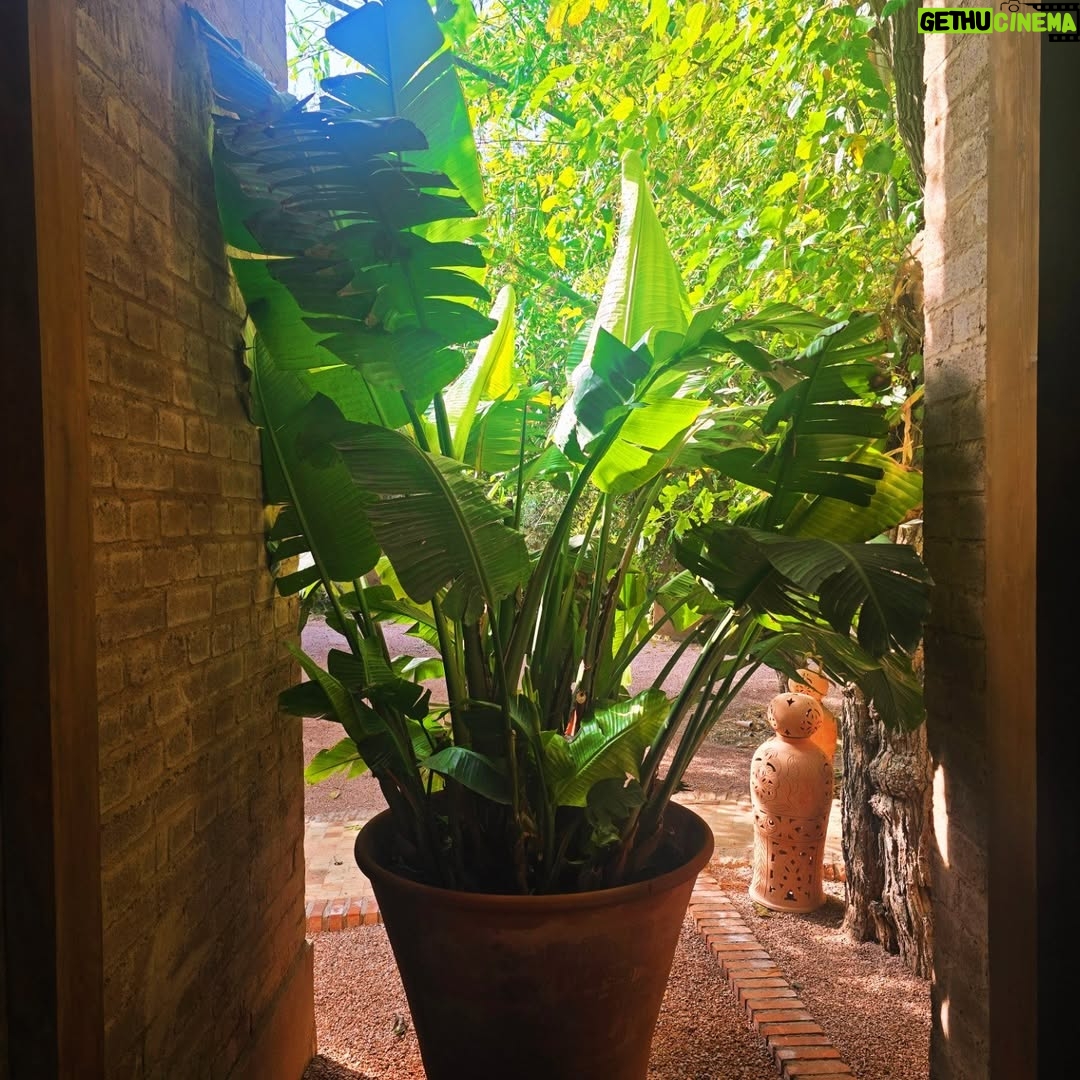 Sarah Machet - 7.5K Likes - Notre dernier voyage de l'année: Marrakech 🇲🇦

Entre couscous, désert, méchoui et souk, un weekend riche en couleurs!

Pendant longtemps je n'ai pas voulu retourner à Marrakech parce que toutes les fois où j'y étais allée je m'étais fait harcelée... ça avait gâché mes séjours...

Il paraît que le roi a fait changer les choses il y'a quelques années et que maintenant les choses vont mieux...

J'y suis donc retournée.. et c'est vrai que je me suis réconciliée avec cette magnifique ville et nous avons passé un super weekend.

Et toi, à Marrakech, ce que tu préfères faire?

#family
#maroc #marrakech 
#love #momandson