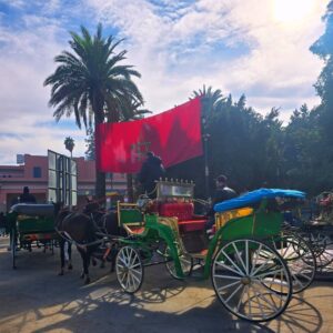 Sarah Machet Instagram - Notre dernier voyage de l'année: Marrakech 🇲🇦

Entre couscous, désert, méchoui et souk, un weekend riche en couleurs!

Pendant longtemps je n'ai pas voulu retourner à Marrakech parce que toutes les fois où j'y étais allée je m'étais fait harcelée... ça avait gâché mes séjours...

Il paraît que le roi a fait changer les choses il y'a quelques années et que maintenant les choses vont mieux...

J'y suis donc retournée.. et c'est vrai que je me suis réconciliée avec cette magnifique ville et nous avons passé un super weekend.

Et toi, à Marrakech, ce que tu préfères faire?

#family
#maroc #marrakech 
#love #momandson