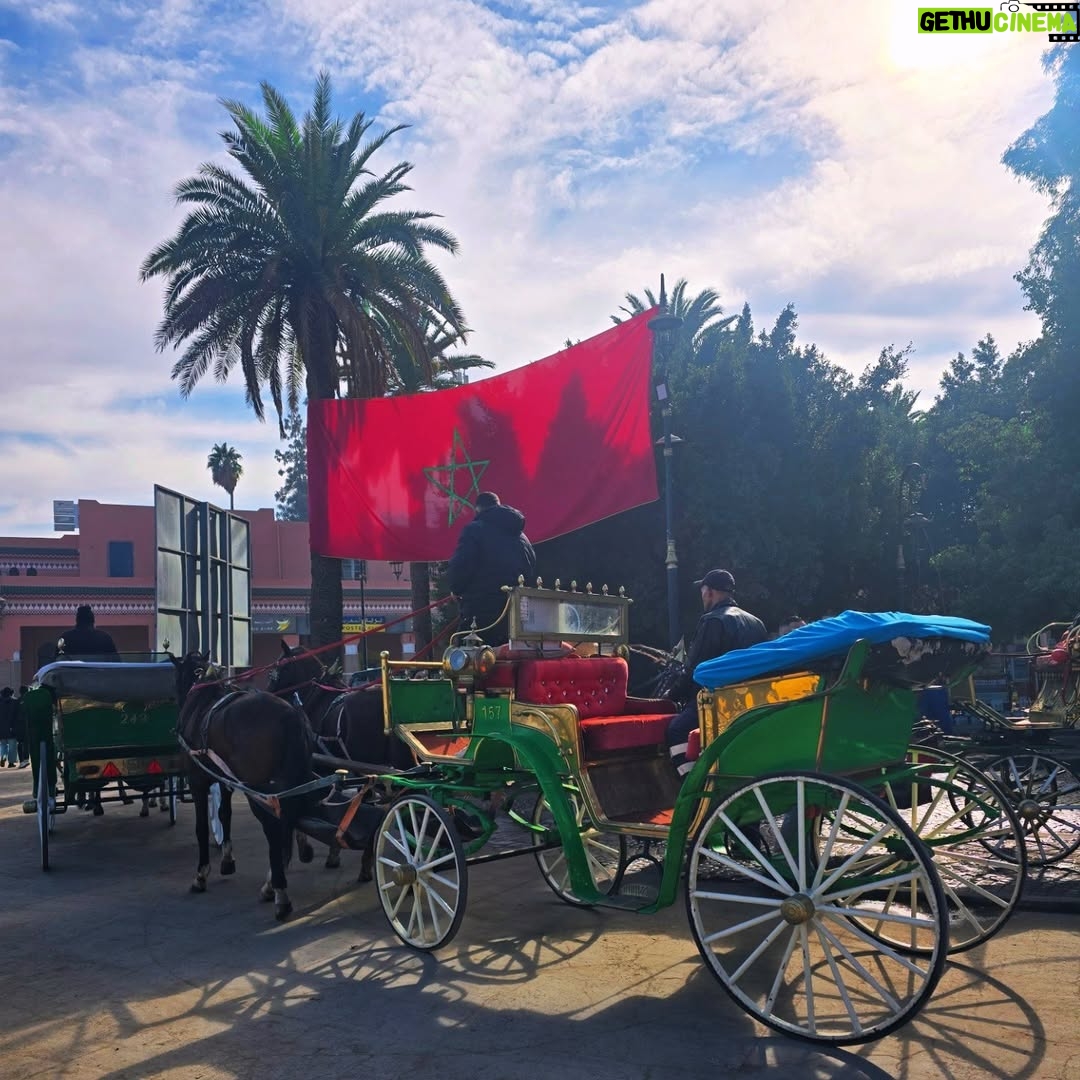 Sarah Machet - 7.5K Likes - Notre dernier voyage de l'année: Marrakech 🇲🇦

Entre couscous, désert, méchoui et souk, un weekend riche en couleurs!

Pendant longtemps je n'ai pas voulu retourner à Marrakech parce que toutes les fois où j'y étais allée je m'étais fait harcelée... ça avait gâché mes séjours...

Il paraît que le roi a fait changer les choses il y'a quelques années et que maintenant les choses vont mieux...

J'y suis donc retournée.. et c'est vrai que je me suis réconciliée avec cette magnifique ville et nous avons passé un super weekend.

Et toi, à Marrakech, ce que tu préfères faire?

#family
#maroc #marrakech 
#love #momandson