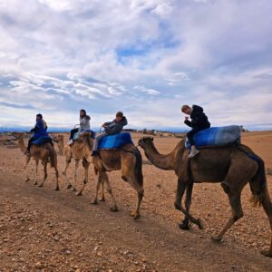 Sarah Machet Instagram - Notre dernier voyage de l'année: Marrakech 🇲🇦

Entre couscous, désert, méchoui et souk, un weekend riche en couleurs!

Pendant longtemps je n'ai pas voulu retourner à Marrakech parce que toutes les fois où j'y étais allée je m'étais fait harcelée... ça avait gâché mes séjours...

Il paraît que le roi a fait changer les choses il y'a quelques années et que maintenant les choses vont mieux...

J'y suis donc retournée.. et c'est vrai que je me suis réconciliée avec cette magnifique ville et nous avons passé un super weekend.

Et toi, à Marrakech, ce que tu préfères faire?

#family
#maroc #marrakech 
#love #momandson