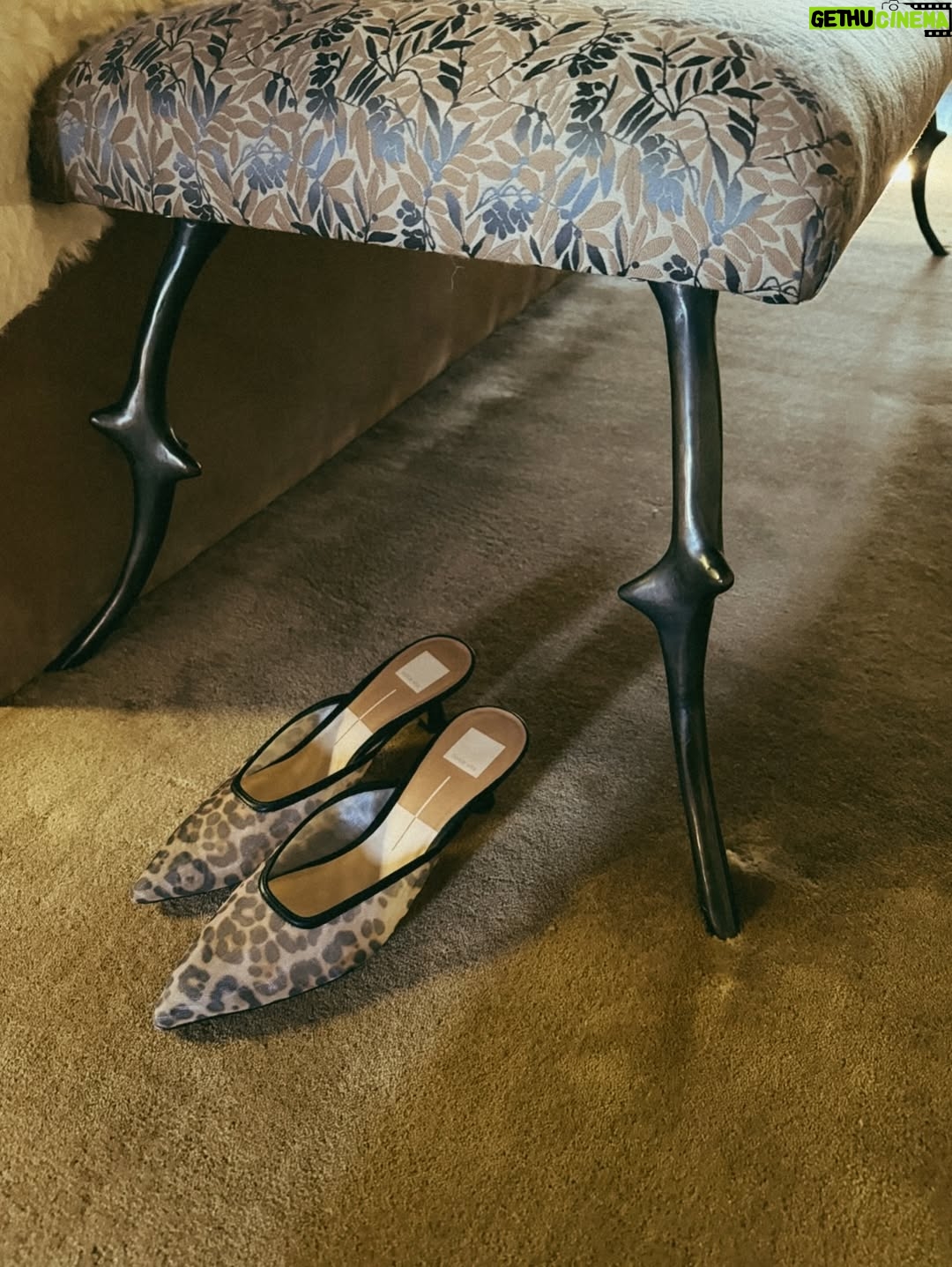 Sasha Alexander - 7.1K Likes - @ysebeauty x @mollybsims x @sezane x more leopard x @dolcevita x @dpmarinoff cooks x @nyakio x @madewell jeans 🎁