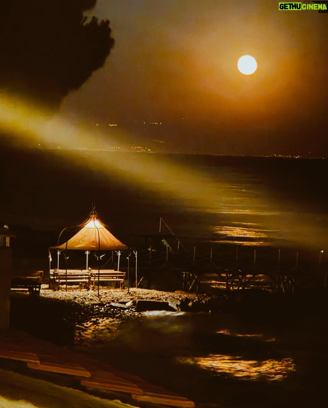 Seda Türkmen - 3.7K Likes - Aldığı kadar .. ❤️😎☀️🐚🍷🧿

Ve reklam değil Kotti muazzam ve #tavsiye pareom şahane 🫠☀️
