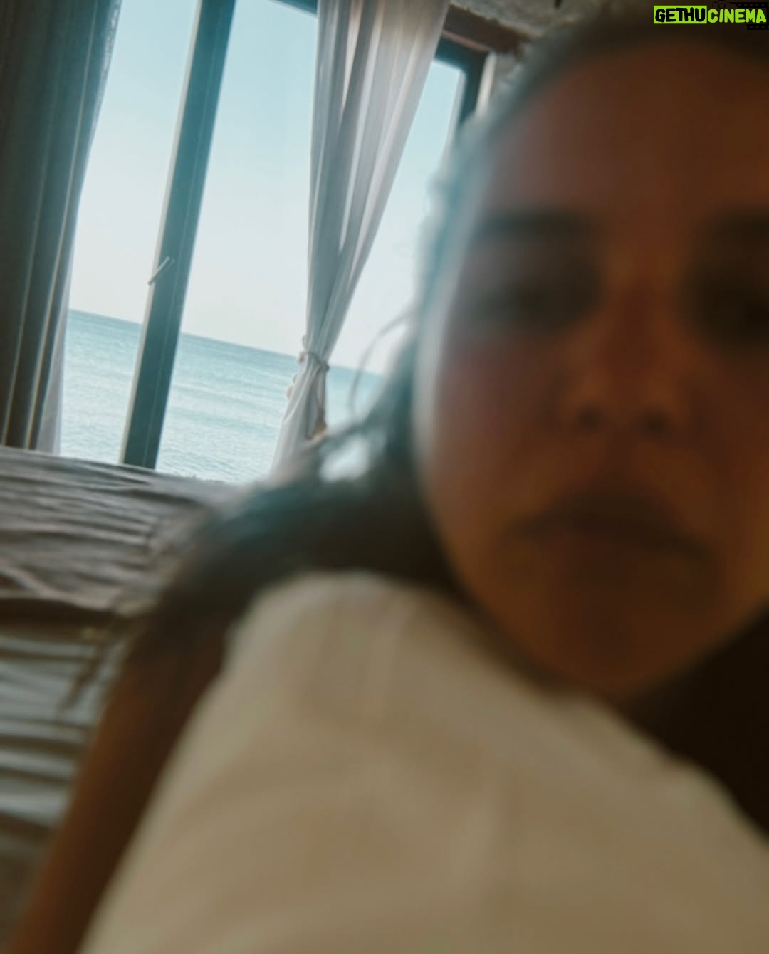 Seda Türkmen - 3.7K Likes - Aldığı kadar .. ❤️😎☀️🐚🍷🧿

Ve reklam değil Kotti muazzam ve #tavsiye pareom şahane 🫠☀️