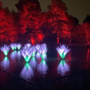 Seema Jaswal Instagram - Christmas at Kew with you 🫶🏽

Thank you for the most beautiful evening and she even got to meet Santa! Guarantees at least one week of good behaviour 🎅🏼

#christmasatkew 
#ad-pressevent