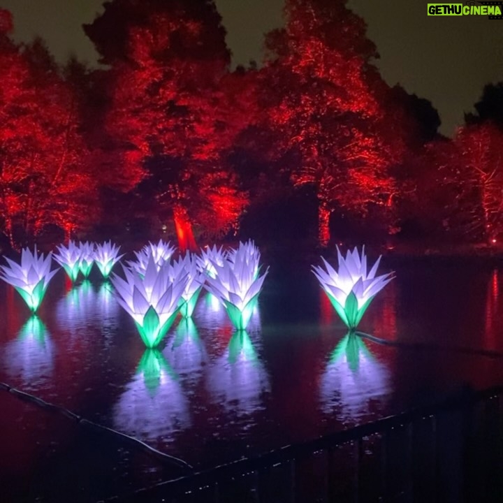 Seema Jaswal - 6.4K Likes - Christmas at Kew with you 🫶🏽

Thank you for the most beautiful evening and she even got to meet Santa! Guarantees at least one week of good behaviour 🎅🏼

#christmasatkew 
#ad-pressevent