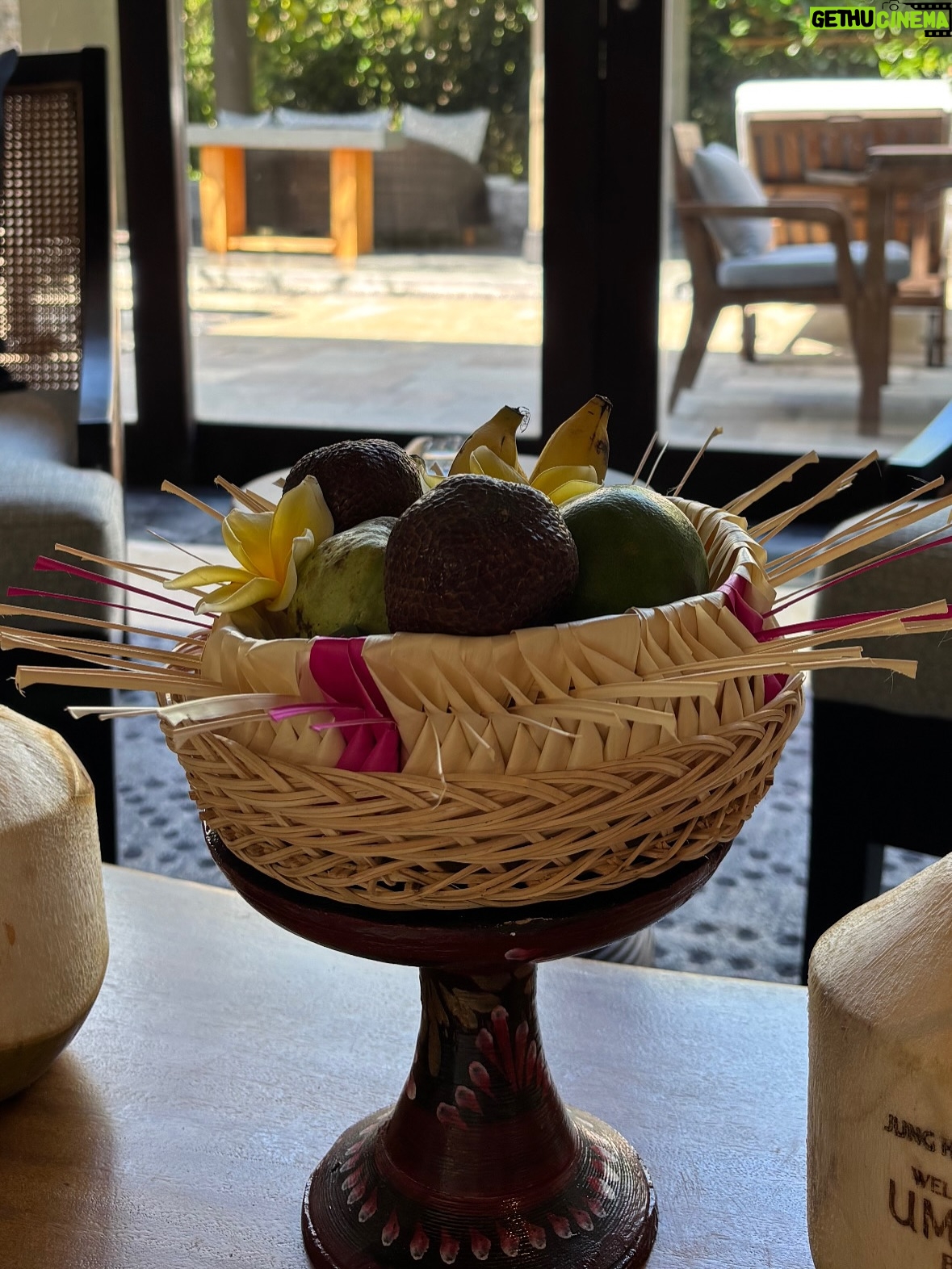Seo Yu-na - 11.9K Likes - _ 겨울이와 셋이 함께 떠난 Bali , ❄️
모든 순간 순간이 행복했던 🧸🤍 
🎂🍹👶🏻🍌🥩🦎🙉🐶🥗🫂🤎
