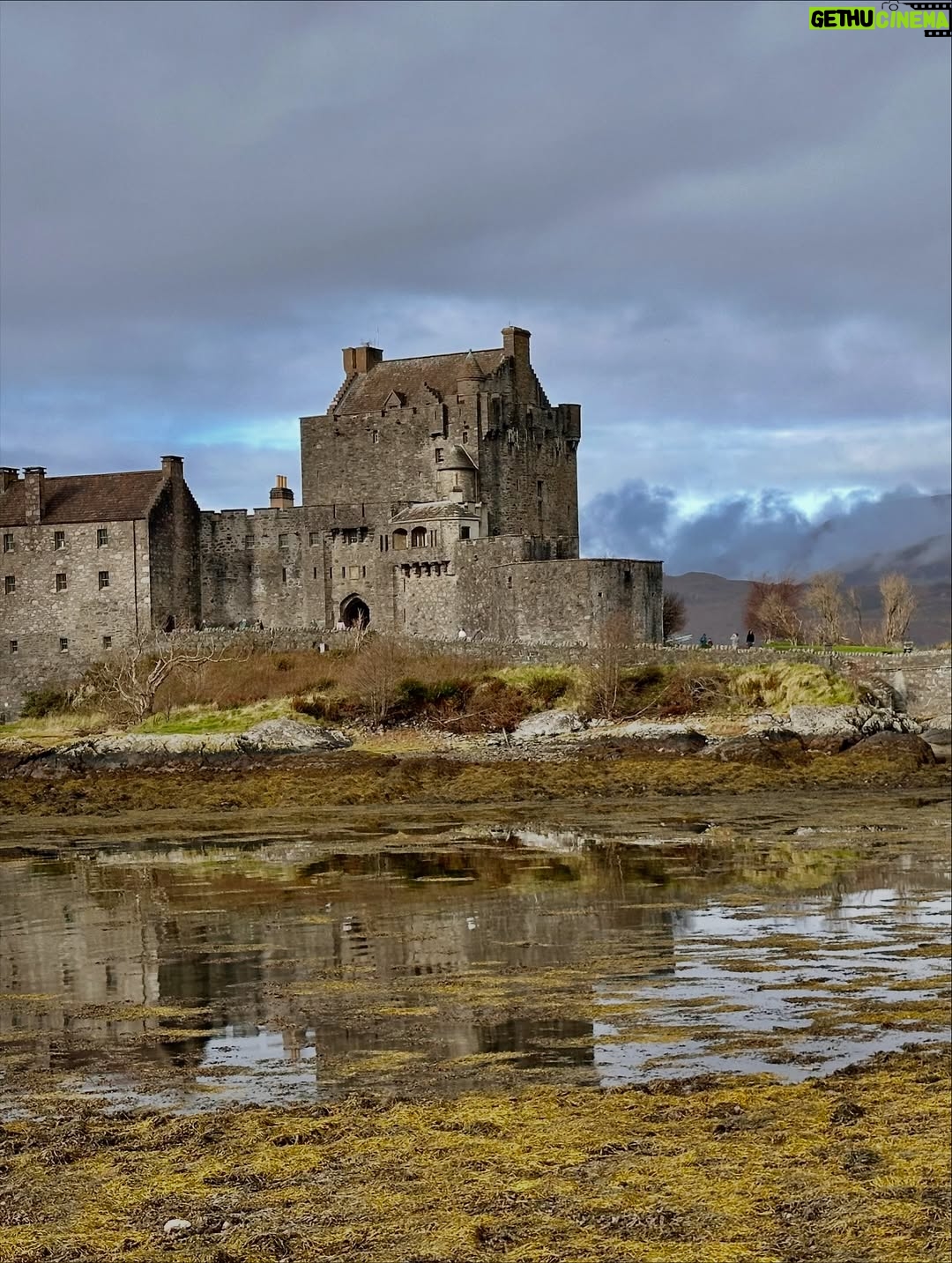 Shannon Elizabeth - 8.9K Likes - Scotland is magical! My favorite moments were finding the beautiful Highland Cows...or Heilan Coos as one might say. 😃 They are stunning. ✨

#scotland #highlandcows #cows #travel