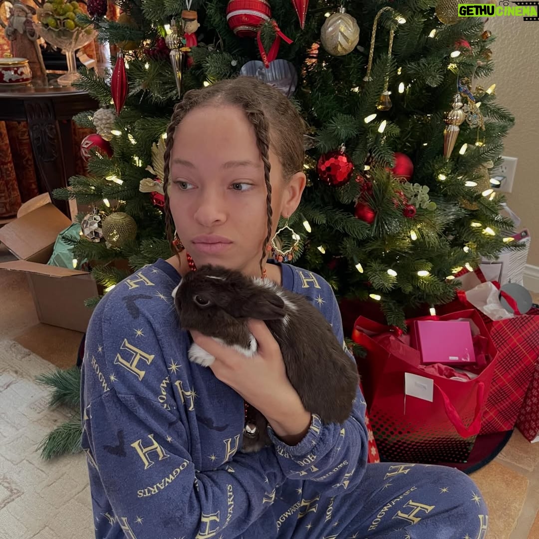 Shelby Simmons - 7.1K Likes - ⭐️Merry Christmas⭐️ Tis the season of love and new life! We’re coming to the end of another year and I’m just reminded of how important it is to end it on the highest note. It’s expensive buying presents for everyone and where there is family, there’s DRAMA, but this year, for the first time at least for me, I was excited to pick out gifts and spend time listening to the drama. I’ll never get another family, and it’s only once a year I get to see them all. Regardless of everything else these are the people who shaped us and we have shaped them, isn’t that kind of beautiful?