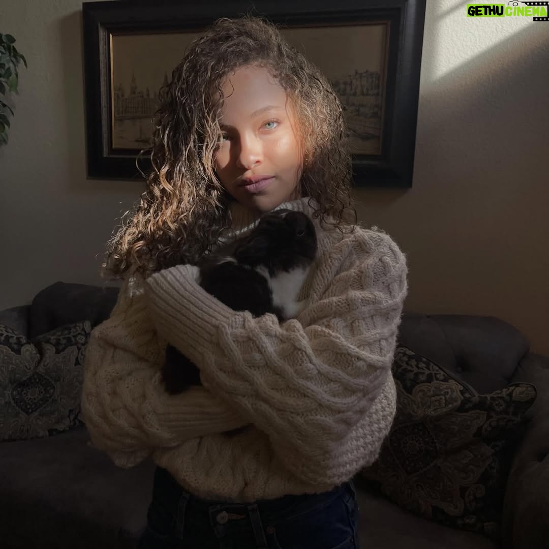 Shelby Simmons - 7.1K Likes - ⭐️Merry Christmas⭐️ Tis the season of love and new life! We’re coming to the end of another year and I’m just reminded of how important it is to end it on the highest note. It’s expensive buying presents for everyone and where there is family, there’s DRAMA, but this year, for the first time at least for me, I was excited to pick out gifts and spend time listening to the drama. I’ll never get another family, and it’s only once a year I get to see them all. Regardless of everything else these are the people who shaped us and we have shaped them, isn’t that kind of beautiful?