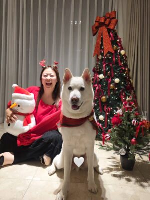 Shim Jin-hwa Instagram - ㅎㅎㅎ
오랜만에 개족사진🐶🥰😍🎄💕

협조 좀 하자 김태풍!!!
ㅋㅋㅋㅋㅋ
