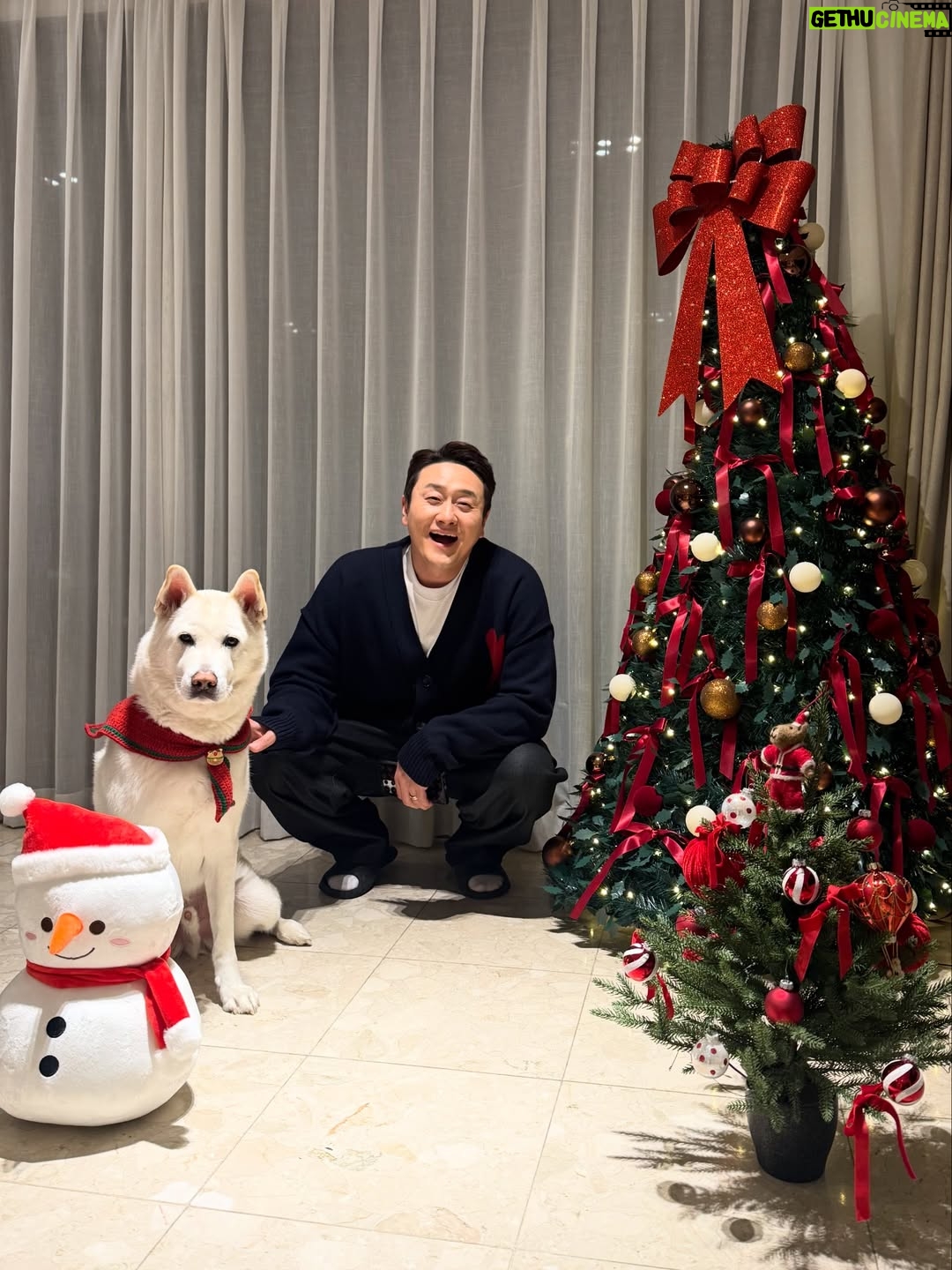 Shim Jin-hwa - 7.9K Likes - ㅎㅎㅎ
오랜만에 개족사진🐶🥰😍🎄💕

협조 좀 하자 김태풍!!!
ㅋㅋㅋㅋㅋ