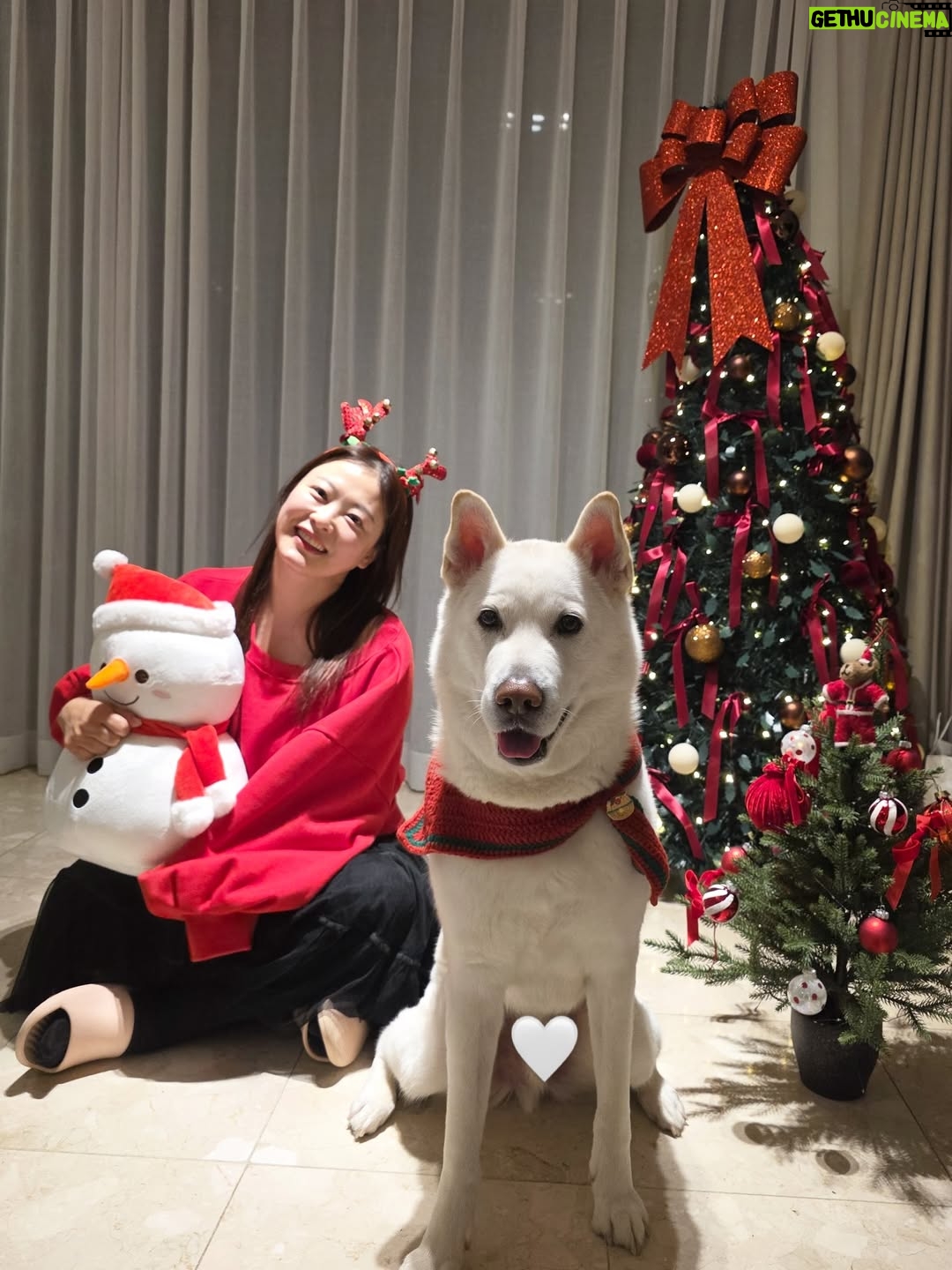 Shim Jin-hwa - 7.9K Likes - ㅎㅎㅎ
오랜만에 개족사진🐶🥰😍🎄💕

협조 좀 하자 김태풍!!!
ㅋㅋㅋㅋㅋ