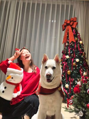 Shim Jin-hwa Instagram - ㅎㅎㅎ
오랜만에 개족사진🐶🥰😍🎄💕

협조 좀 하자 김태풍!!!
ㅋㅋㅋㅋㅋ