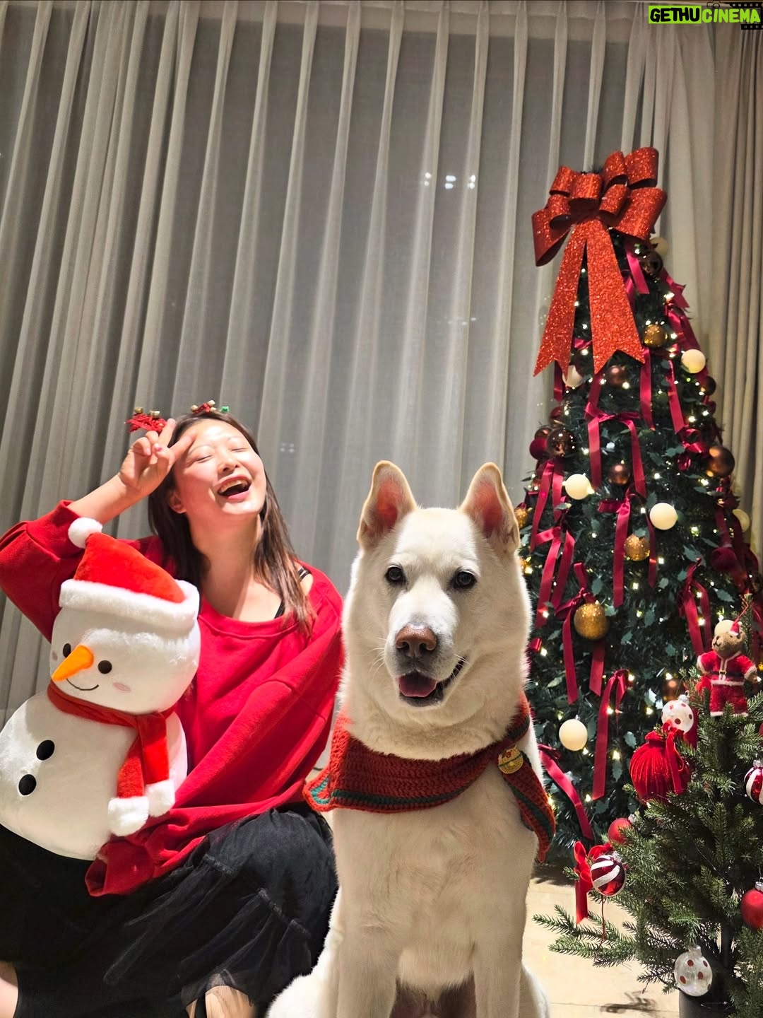 Shim Jin-hwa - 7.9K Likes - ㅎㅎㅎ
오랜만에 개족사진🐶🥰😍🎄💕

협조 좀 하자 김태풍!!!
ㅋㅋㅋㅋㅋ