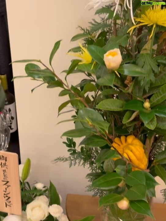 Shinobu Otake - 27.6K Likes - 12月５日は、中村勘三郎さんの祥月命日でした。
たくさんの仲間が集まりました。
私も仕事を終えご自宅へ。
沢山のお花に囲まれたご仏壇の中で、変わらない笑顔の勘三郎さんの写真を見ながら13年が経ってしまったなんてと、信じられない気持ちになります。
二人のお孫さんも大きくなり、なおちゃん（勘太郎）とみんなが背比べを始めました。

久しぶりになおちゃんのりちゃんに会い、小さい頃によくやっていた戦いごっこも復活。
思い切り走って隠れて、大声あげて、楽しい時間でした。

でも、のりさんいないとやっぱり寂しいねぇと、みんなでしみじみ話しました。

この日は、永遠に忘れられない日になってしまった。
そして自分の贈ったお花入れるの忘れてしまった。

#中村勘三郎　さん
#中村勘太郎　くん
#大竹しのぶ
