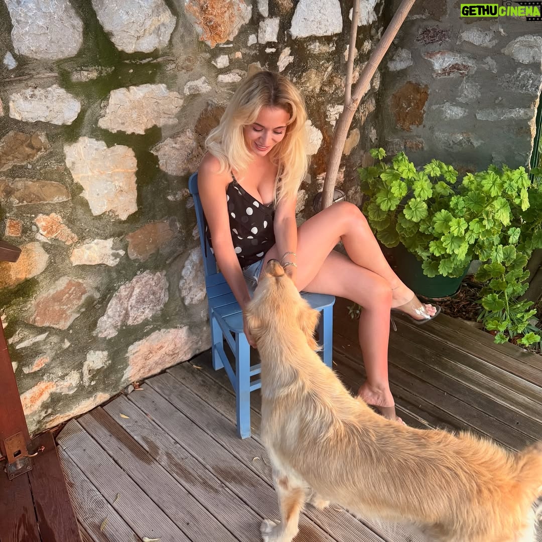 Sibel Aytan - 8.1K Likes - Badem ve ıstakoz dostu ♾️