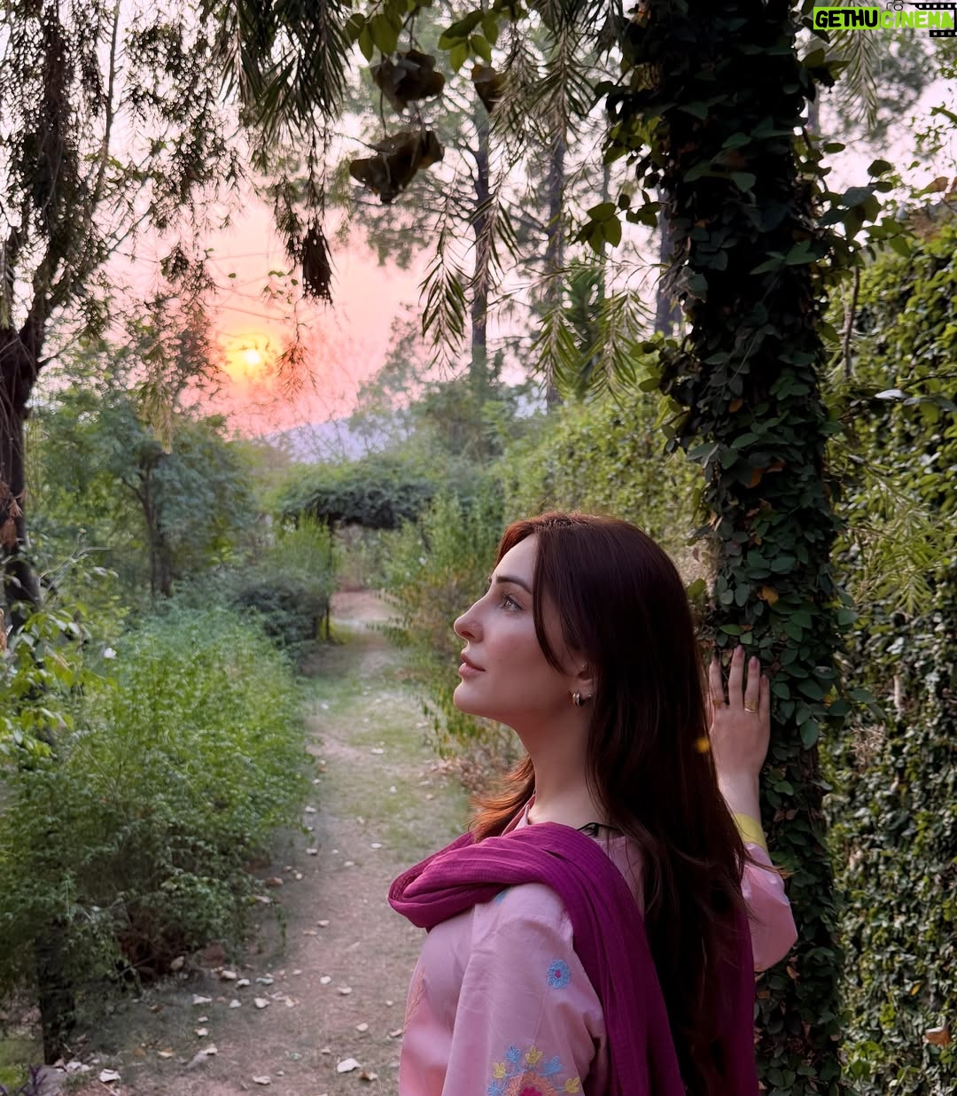 Sidra Niazi - 214.3K Likes - #jinnkishadiunkishadi ♥️