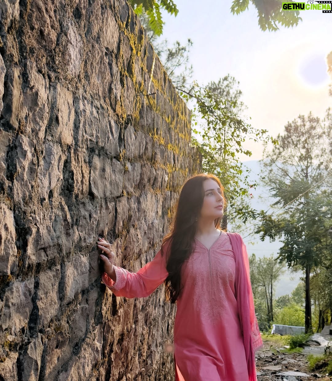 Sidra Niazi - 214.3K Likes - #jinnkishadiunkishadi ♥️