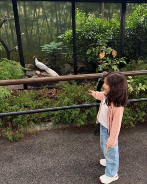 Sopho Nizharadze Instagram -