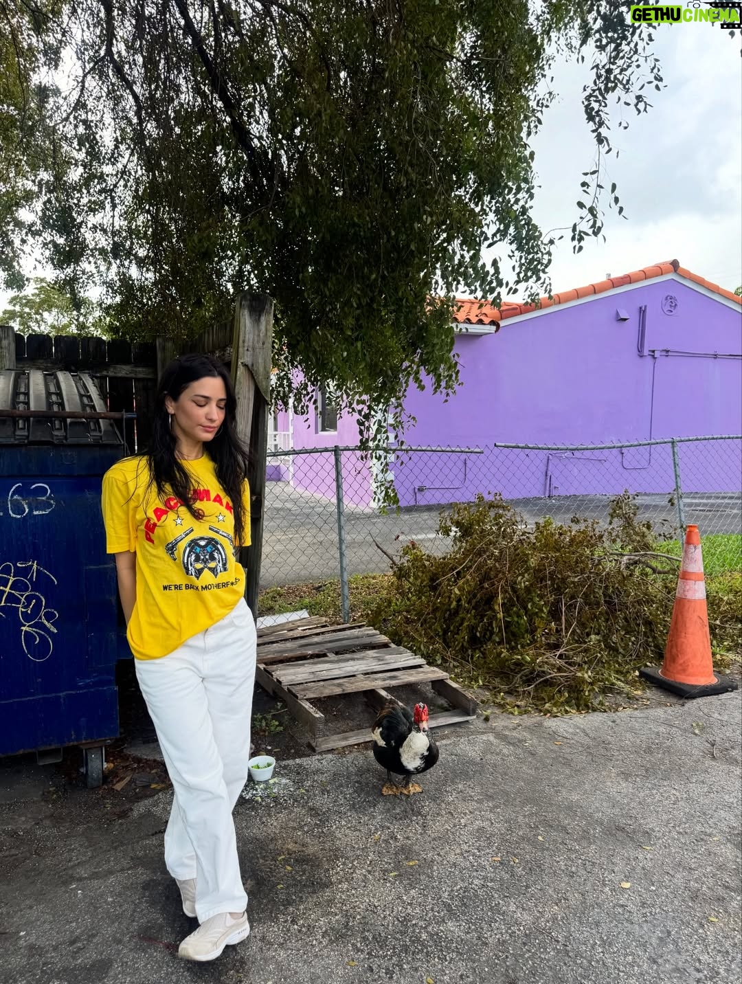 Sol Rodriguez - 13.4K Likes - Me, my new fav t-shirt and my eagle friend 💛🦅
