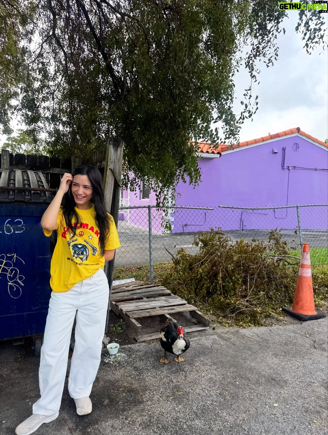 Sol Rodriguez - 13.4K Likes - Me, my new fav t-shirt and my eagle friend 💛🦅