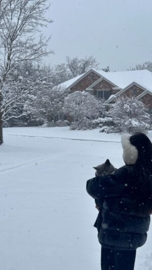 Son Tae-young Instagram - ☃️❄️🌨️