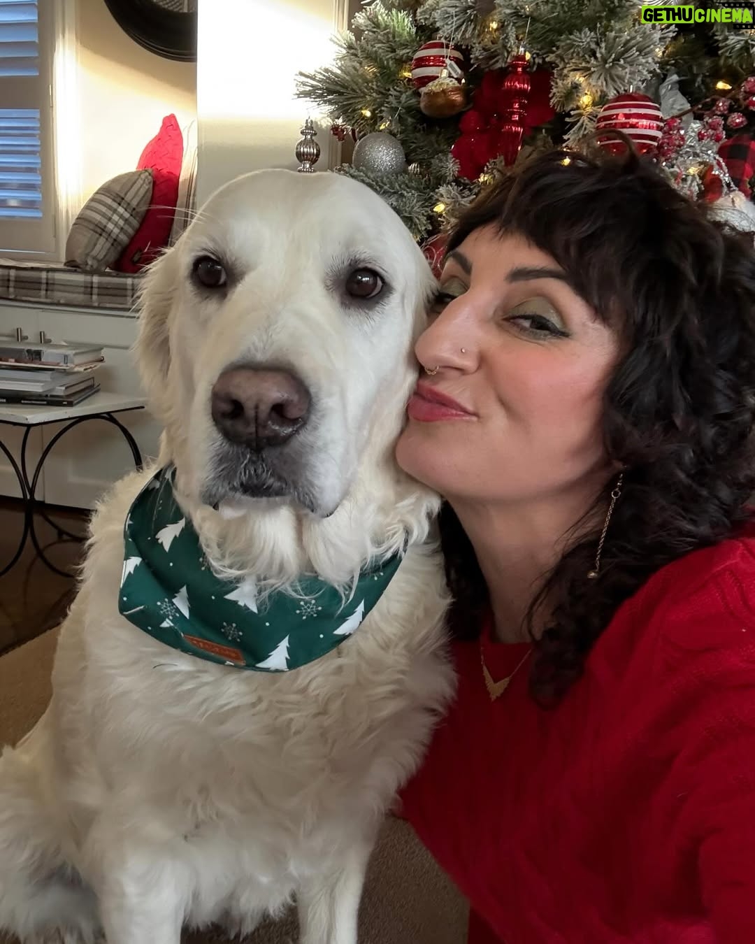 Steph Tolev - 17.1K Likes - Merry Christmas from the most demented couple on the internet #merrychristmas #happyholidays #couplegoals