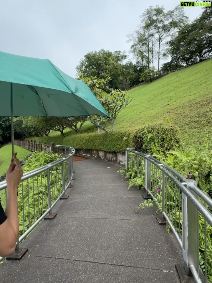 Sudeshna Biswas - 9.2K Likes - That iconic place in Singapore 🇸🇬

Architecture 🫡

(Singapore photoshoot places, Singapore diaries)