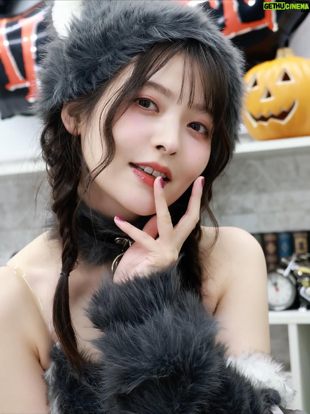 Sumire Uesaka - 60.4K Likes - きんようび〜！ハッピーハロウィン守護神伝〜！
皆さま、今週もたいへんおつかれさまでしたっ！

ハロウィン生配信のあとで、しーたむカメラマンに撮ってもらった狼さんお衣装〜！
しーたむが、忙しい中レタッチまでしてお写真を沢山送ってくれました！しーたむのカメラぢからが素っ晴らしいので少しだけおすそ分け…！ありがとしーたむ神！

あ！！この投稿を見たあなたは必ずYouTubeのボイスキットチャンネルを登録して高評価をぐっと押すのですよぉ…！おねがいだぞぉ！

それでは皆さま、お菓子とかテンションあがるものを食べたりして、楽しくすこやかなハロウィンをお過ごしくださいねっ！

#上坂すみれ