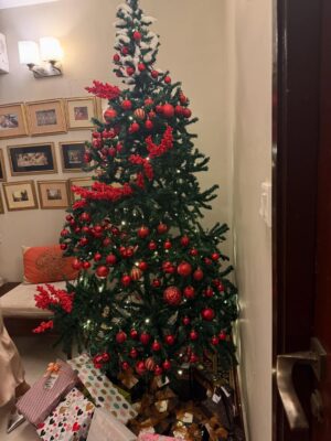 Sunita Marshall Instagram - Tis the season for cozy hearts and happy moments.

@hassan.ahmedofficial
