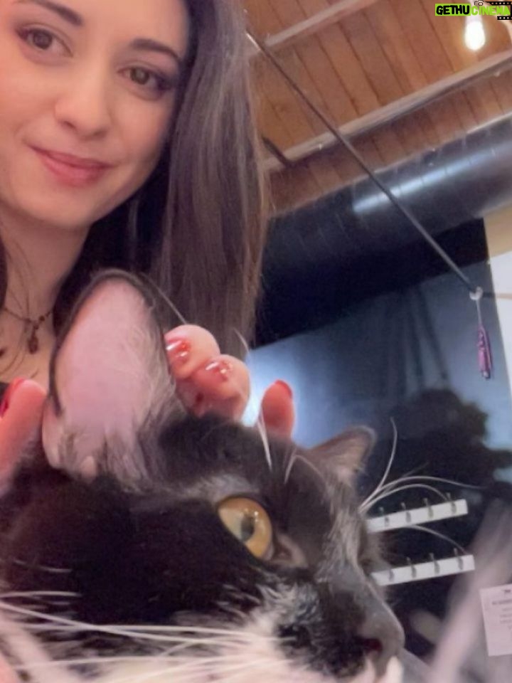 Sweet Anita - 109.3K Likes - A little photo dump from my LA trip for The Streamer Awards