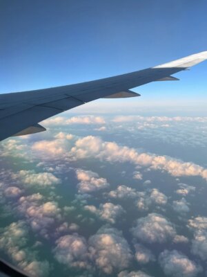 Sweet Anita Instagram - A little photo dump from my LA trip for The Streamer Awards