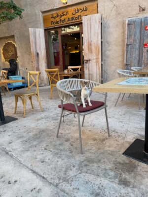 Swetha Venugopal Instagram - Walking through Al Seef felt truly special. Every little shop had its own charm and the entire place carried the soul of old Dubai. From the vintage stores to the earthy textures of the buildings, it felt like stepping back in time and seeing how the city once was. The cafes  tucked away in quiet corners made the experience even better, giving you a moment to slow down and just take it all in. It was calm, beautiful, and full of character. Such a lovely way to experience Dubai’s heritage and culture. I genuinely enjoyed every moment.

#AlSeefDubai #DubaiDiaries #OldDubai @dubai  @visit.dubai DubaiHeritage TravelDubai DubaiVibes WanderDubai TravelMoments ExploreDubai VintageVibes DubaiCulture TravelExperience DubaiAesthetic