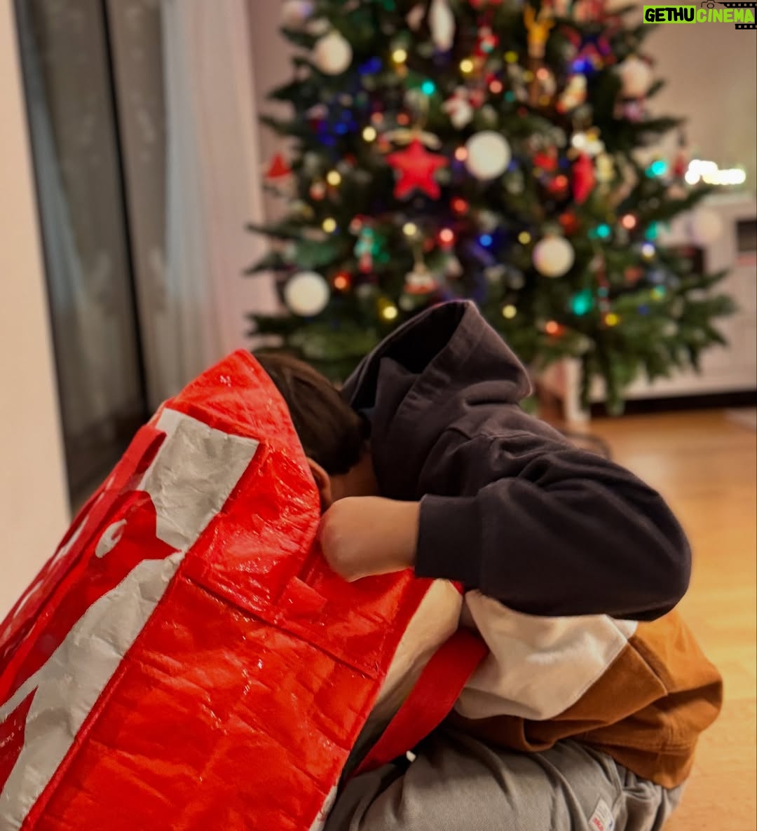 Tânia Ribas de Oliveira - 5.5K Likes - Não vá haver algum enfeite que tenha ficado esquecido … 😂 Feliz Natal ! 🎄