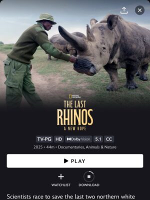 Taylor Rees Instagram - Long term passion project with directors @taylorfreesolo @kbarrettcleary and the incredible @amivitale now live on @disneyplus streaming!

So powerful to have spent time with these animals on location @olpejeta.

@amivitale @drewness17 @mr_b_a @abutosounds
@andrewhbrown @expedition.studios @natgeo @beawangondu @jovansomewhere @biorescue_project @johnvonblock @zacharia_mutai @disneyplus @kbarrettcleary