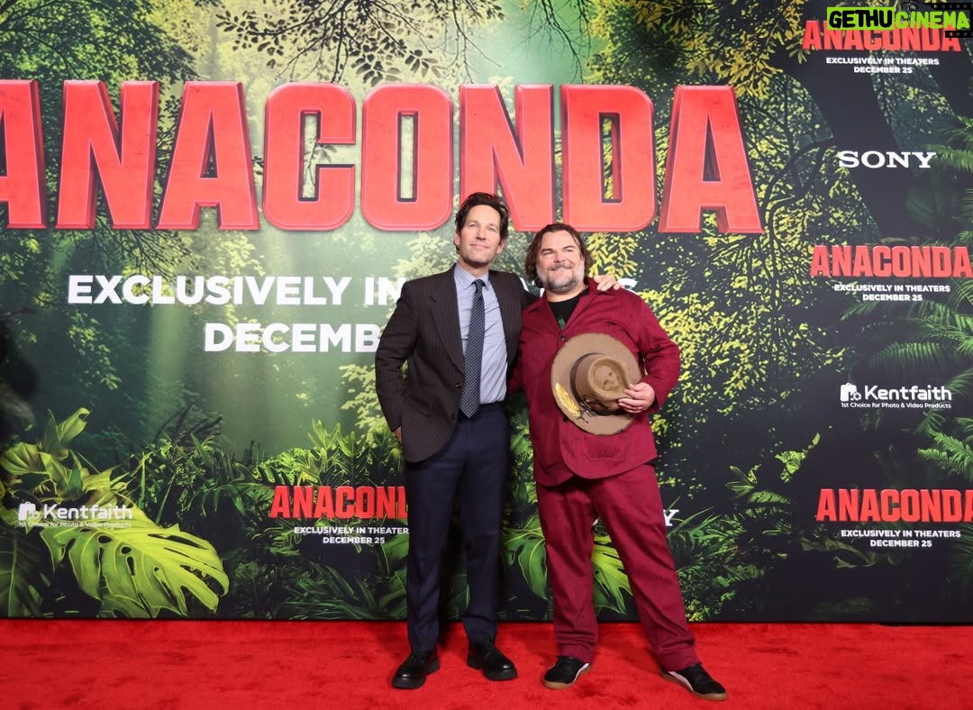 Thandiwe Newton - 4.6K Likes - Things got wild at the #AnacondaMovie World Premiere.

Don’t miss the holiday’s biggest comedy – in theatres this Christmas. Get tickets now.